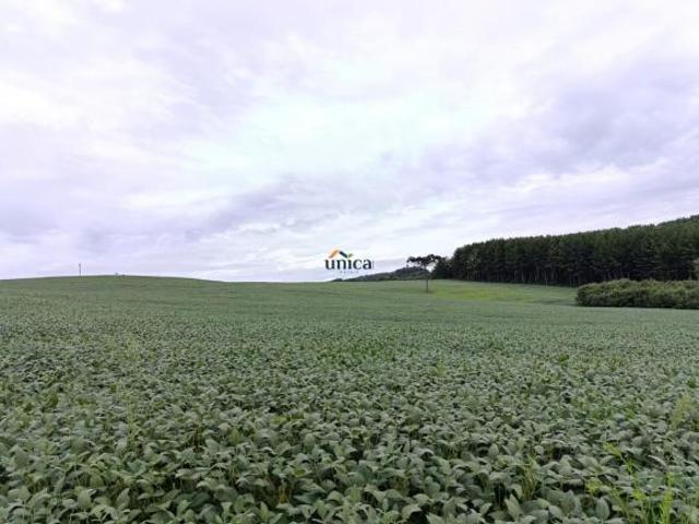 Sítio e chácara venda em Região Geográfica Imediata de Curitiba, Rio Negro