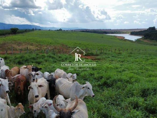 Sítio e chácara venda em Região Geográfica Imediata de Campo Belo, Cristais