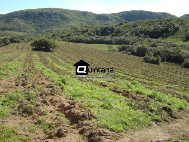 Sítio e chácara venda em Região Geográfica Imediata de Pelotas, Canguçu
