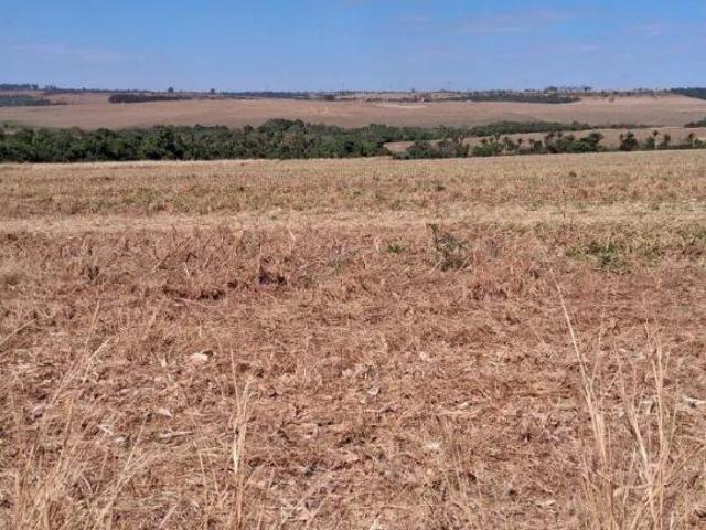 Sítio e chácara venda em Região Geográfica Imediata de Anápolis, Região Integrada de Desenvolvimento do Distrito Federal e Entorno