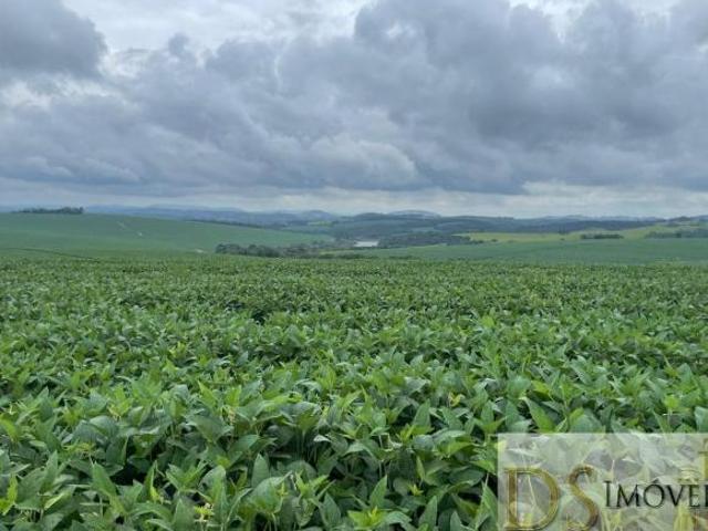 Sítio e chácara venda em Região Imediata de Itapeva, Itaporanga