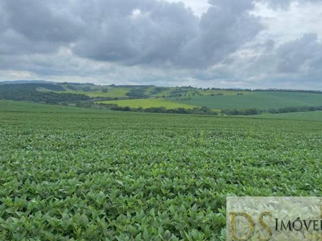 Sítio e chácara venda em Região Imediata de Itapeva, Itaporanga