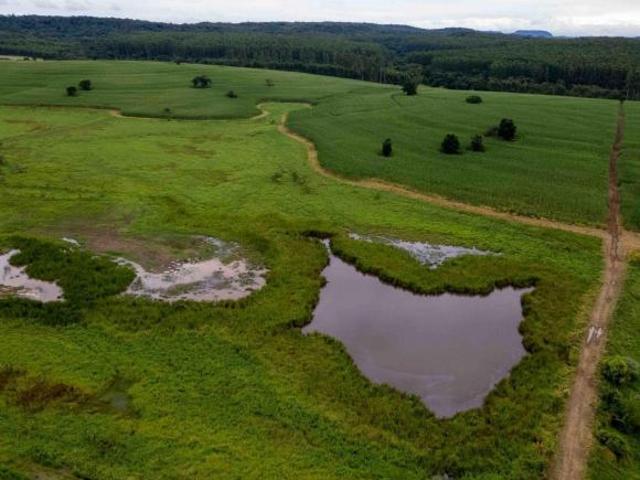 Sítio e chácara venda em Quadra, São Paulo