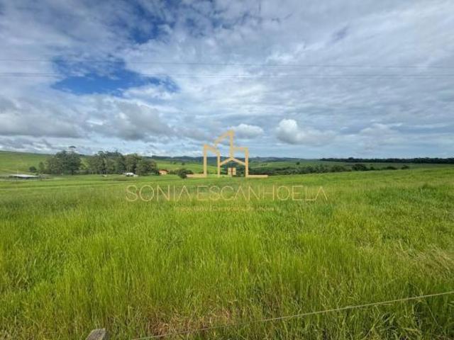 Sítio e chácara venda em Região Imediata de Itapeva, Itararé