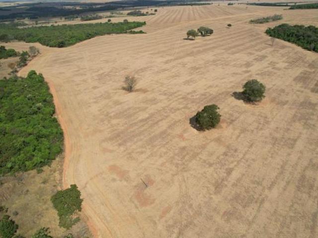 Sítio e chácara venda em Região Geográfica Imediata de Piracanjuba, Piracanjuba