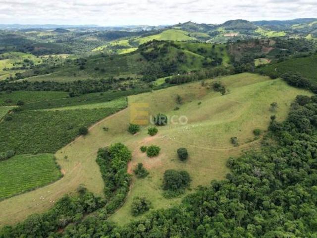 Sítio e chácara venda em Carmo da Cachoeira, Região Geográfica Intermediária de Varginha