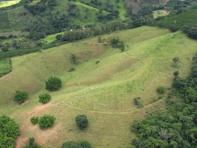 Fazenda venda em Região Geográfica Imediata de Poços de Caldas, Botelhos
