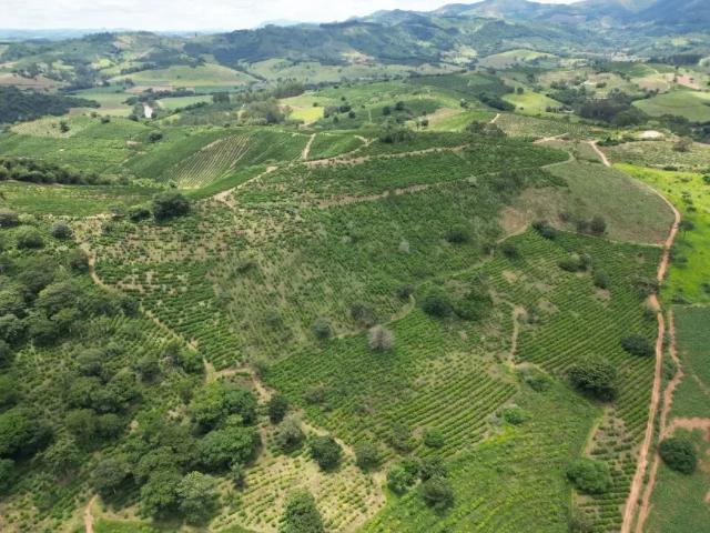 Fazenda venda em Região Geográfica Imediata de Poços de Caldas, Botelhos