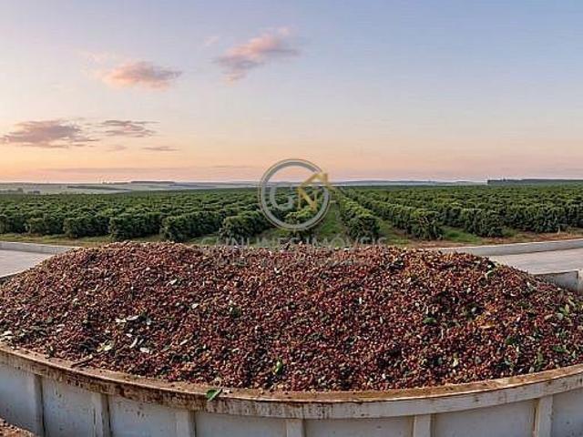 Sítio e chácara venda em Capelinha, Região Geográfica Intermediária de Teófilo Otoni