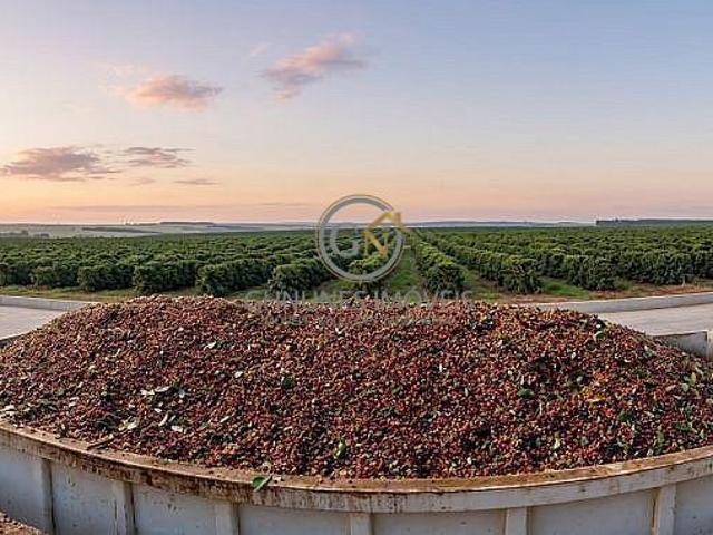 Sítio e chácara venda em Capelinha, Região Sudeste