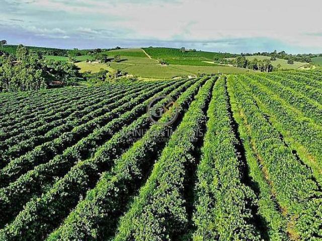 Sítio e chácara venda em Região Geográfica Imediata de Alfenas, Machado