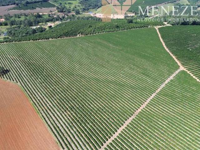 Sítio e chácara venda em Região Geográfica Imediata de Guaxupé, Muzambinho