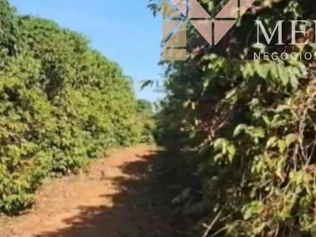 Sítio e chácara venda em Região Geográfica Imediata de Três Corações, Campanha