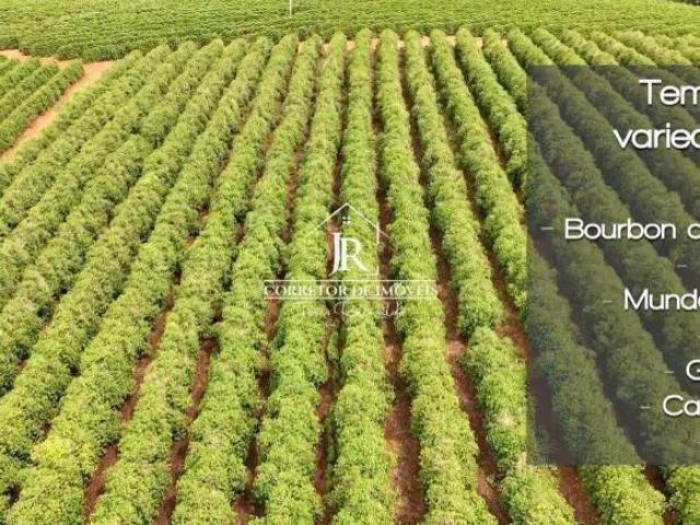 Sítio e chácara venda em Santo Antônio do Amparo, Região Geográfica Intermediária de Varginha