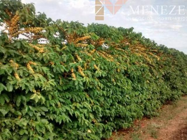 Sítio e chácara venda em Serra Azul de Minas, Região Geográfica Intermediária de Teófilo Otoni
