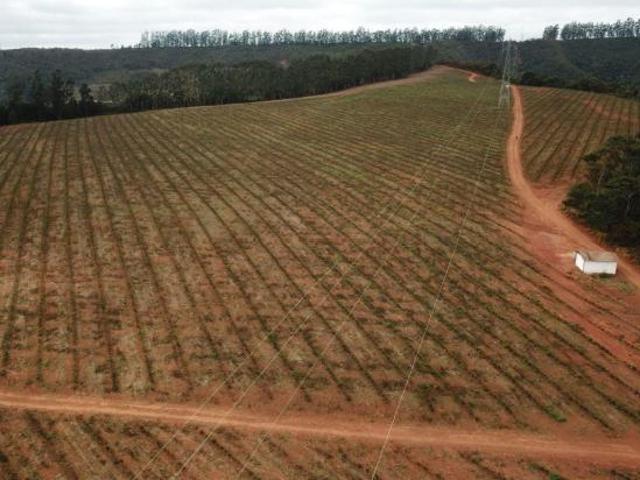 Sítio e chácara venda em Capelinha, Região Sudeste