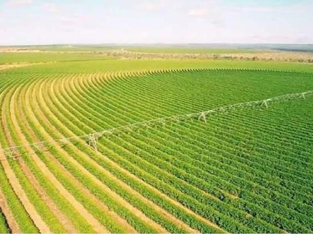 Sítio e chácara venda em Região Geográfica Imediata de Pirapora, Buritizeiro