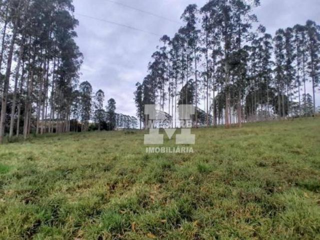 Sítio e chácara venda em Região Geográfica Imediata de Alfenas, Campos Gerais