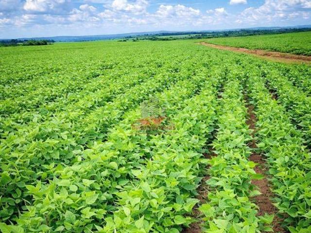 Sítio e chácara venda em Capelinha, Região Sudeste