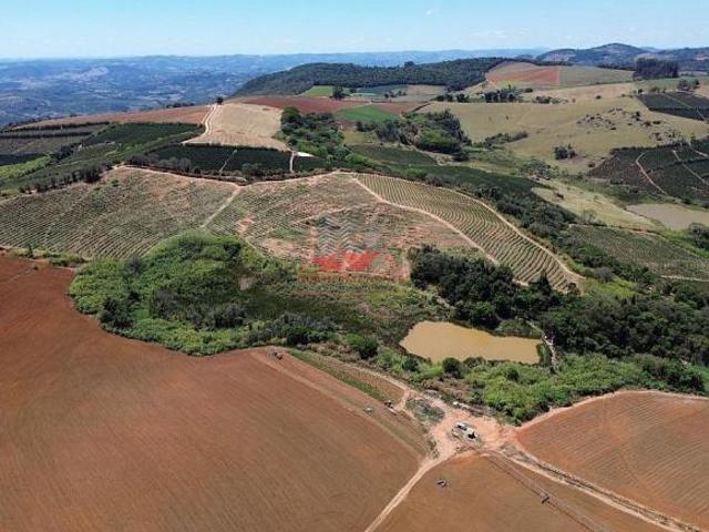 Sítio e chácara venda em Região Imediata de São José do Rio Pardo-Mococa, Divinolândia