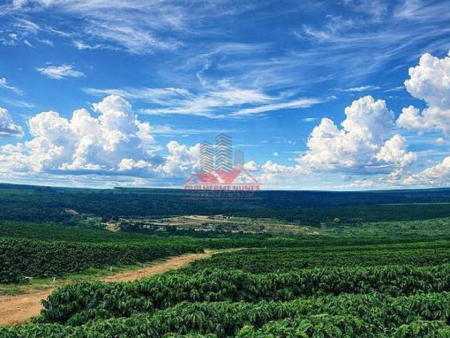 Sítio e chácara venda em Região Geográfica Imediata de Teófilo Otoni, Novo Cruzeiro