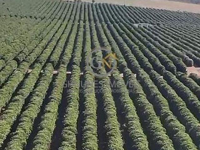Sítio e chácara venda em Jardim das Paineiras, São Sebastião do Paraíso