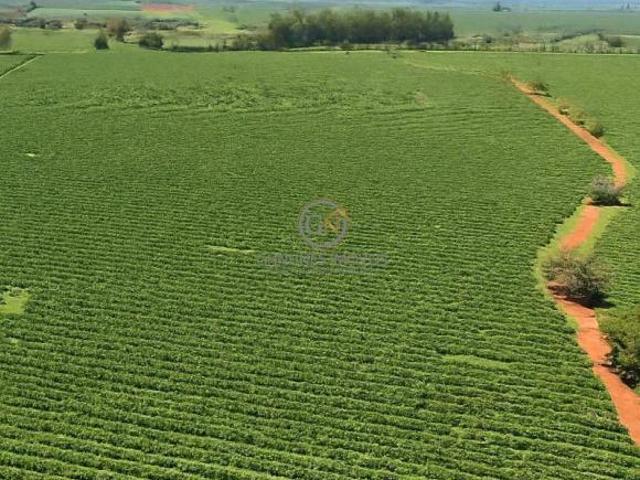 Sítio e chácara venda em Região Geográfica Imediata de Piumhi, Jerumenha