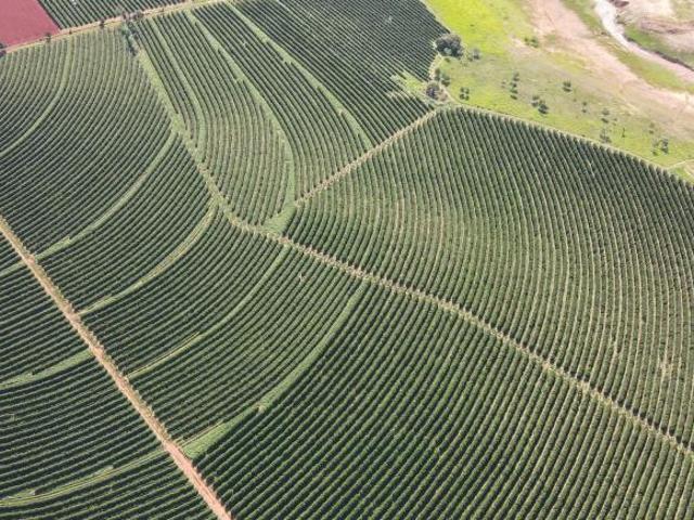 Sítio e chácara venda em Região Geográfica Imediata de Patrocínio, Patrocínio