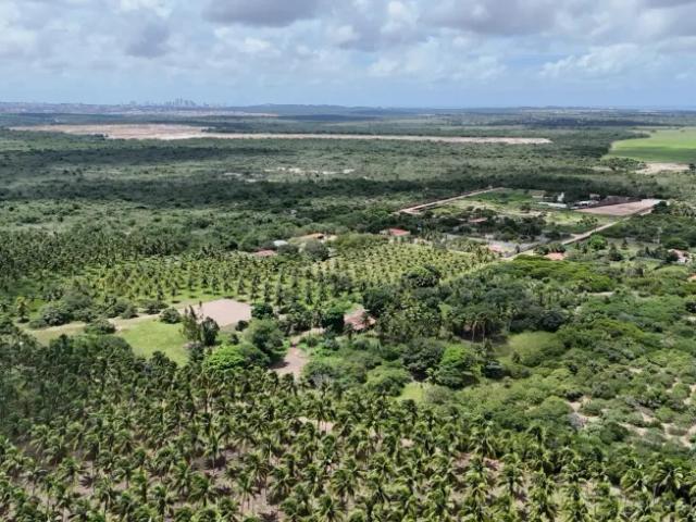 Fazenda venda em Região Geográfica Imediata de Natal, São José de Mipibu