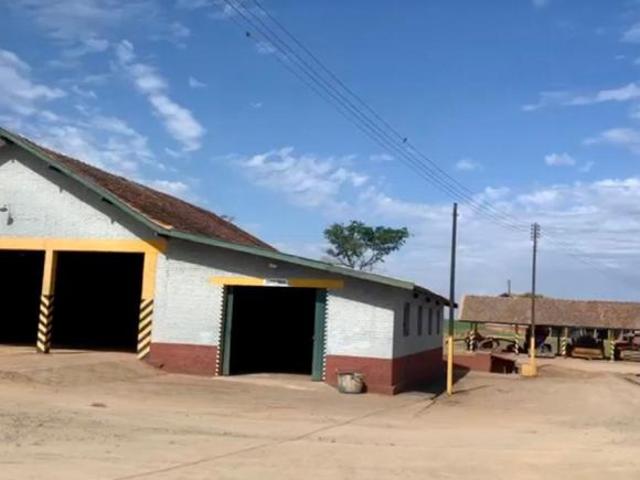 Sítio e chácara venda em Região Geográfica Imediata de Santo Antônio da Platina, Tomazina