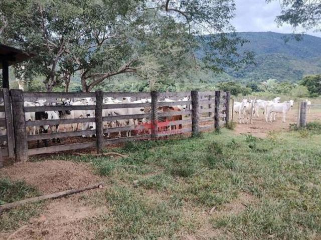 Sítio e chácara venda em Região Geográfica Imediata de Tangará da Serra, Barra do Bugres