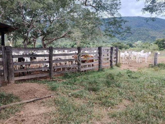 Sítio e chácara venda em Região Geográfica Imediata de Tangará da Serra, Barra do Bugres
