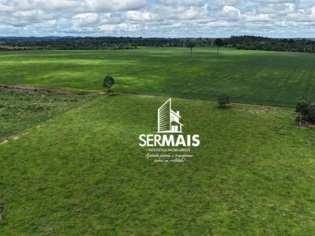 Fazenda venda em Ariquemes