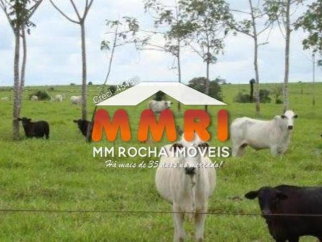 Sítio e chácara venda em Região Geográfica Imediata de Confresa - Vila Rica, São Felix do Araguaia