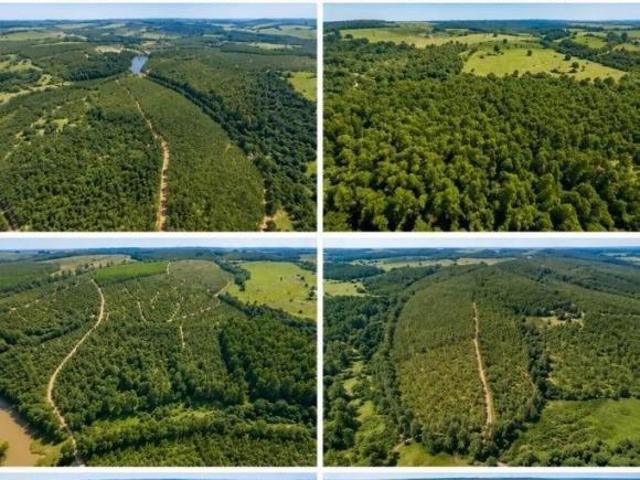 Sítio e chácara venda em Ipeúna, Região Geográfica Intermediária de Campinas