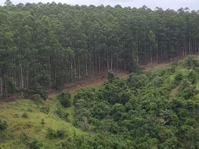 Sítio e chácara venda em Região Imediata de Guaratinguetá, Região Metropolitana do Vale do Paraíba e Litoral Norte