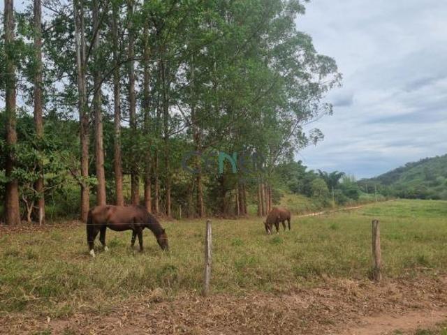 Sítio e chácara venda em Região Geográfica Imediata de Água Boa, Água Boa