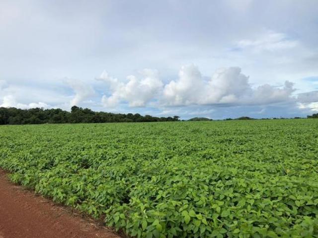 Sítio e chácara venda em Região Geográfica Imediata de Confresa - Vila Rica, Confresa