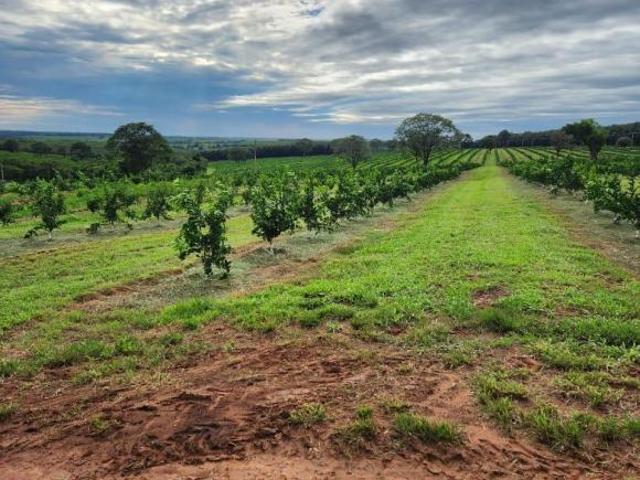 Sítio e chácara venda em Região Imediata de São José do Rio Preto, Região Metropolitana de São José do Rio Preto