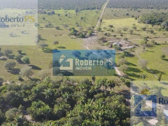 Sítio e chácara venda em Região Geográfica Imediata de Água Boa, Cocalinho