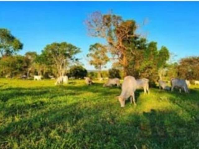 Sítio e chácara venda em Região Geográfica Imediata de Campo Grande, Ribas do Rio Pardo