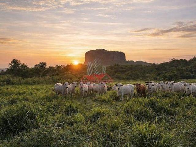 Sítio e chácara venda em Região Geográfica Imediata de Primavera do Leste, Poxoréo