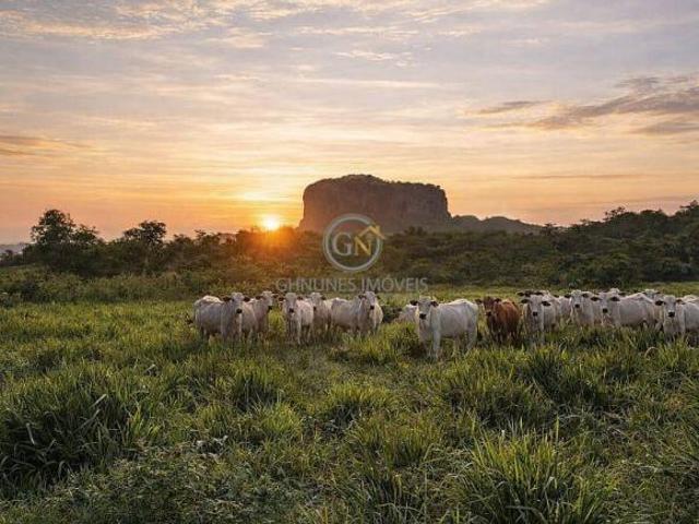 Sítio e chácara venda em Região Geográfica Imediata de Primavera do Leste, Poxoréo
