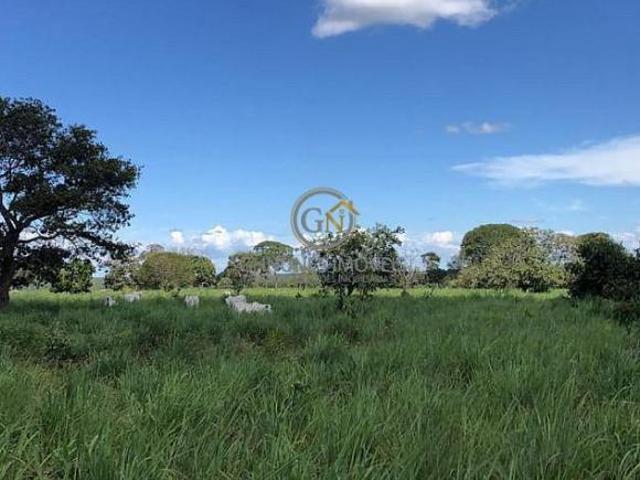 Sítio e chácara venda em Região Geográfica Imediata de Pirapora, Santa Fé de Minas