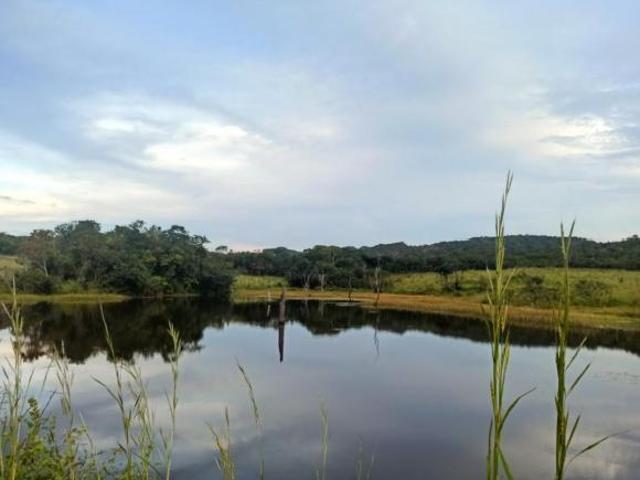 Sítio e chácara venda em Região Geográfica Imediata de Uruaçu - Niquelândia, Colinas do Sul