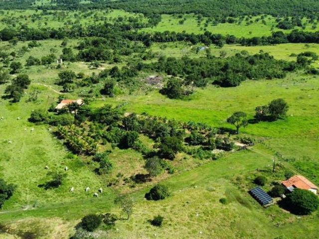 Sítio e chácara venda em Região Geográfica Imediata de Uruaçu - Niquelândia, Colinas do Sul