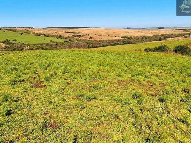 Sítio e chácara venda em Região Geográfica Imediata de Bagé, Bagé