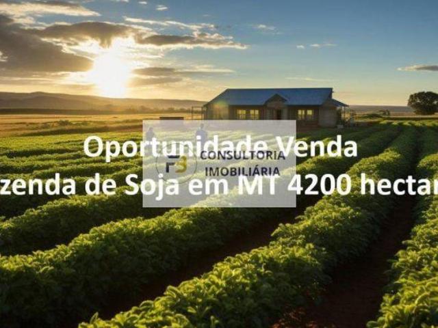 Sítio e chácara venda em Região Geográfica Imediata de Confresa - Vila Rica, Santa Terezinha
