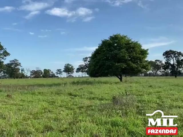 Fazenda venda em Lagoa Santa