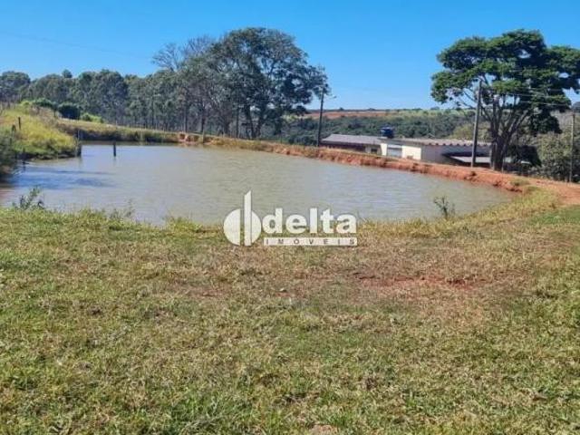 Sítio e chácara venda em Região Geográfica Imediata de Uberlândia, Araguari